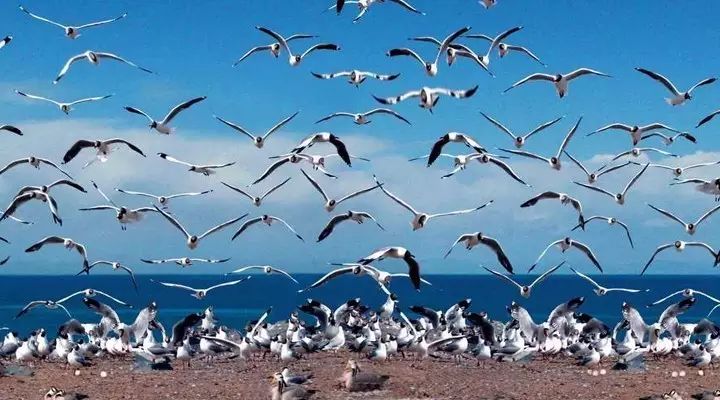 塞班岛旅游攻略_塞班岛游记_塞班岛自由行