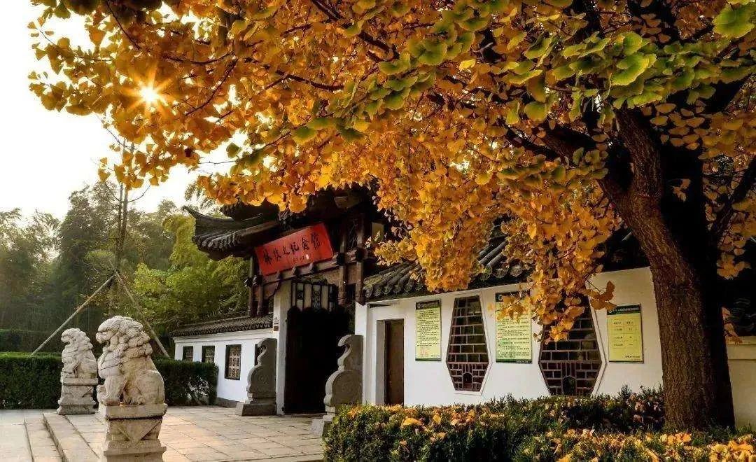 南京将军山门票价格_南京将军山旅游攻略_南京将军山一日游攻略