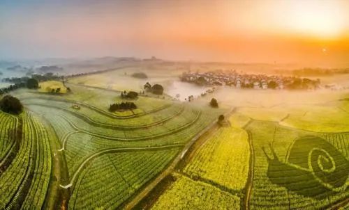 南京将军山门票价格_南京将军山旅游攻略_南京将军山一日游攻略