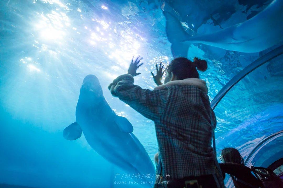 广州时尚天河网红拍照_时尚天河有那些网红店_天河时尚店红网有多少家