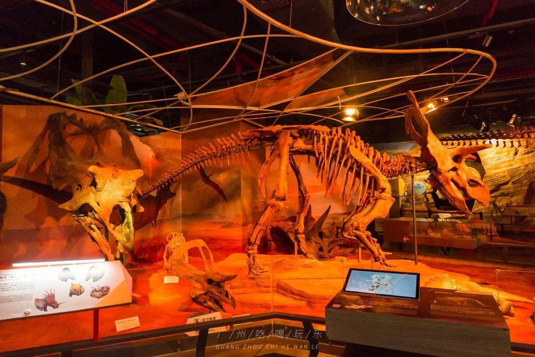 时尚天河有那些网红店_广州时尚天河网红拍照_天河时尚店红网有多少家