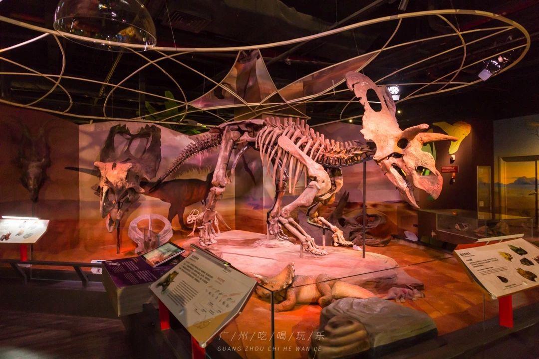 广州时尚天河网红拍照_天河时尚店红网有多少家_时尚天河有那些网红店