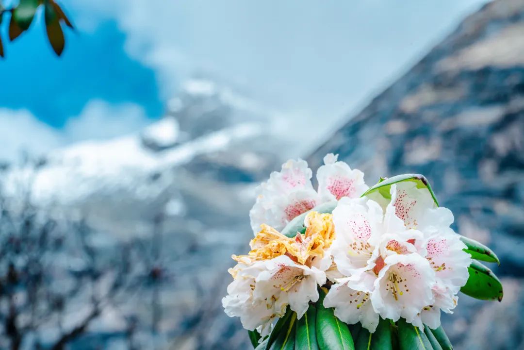 毕棚沟门票2021_2024毕棚沟旅游攻略_毕棚沟旅行攻略