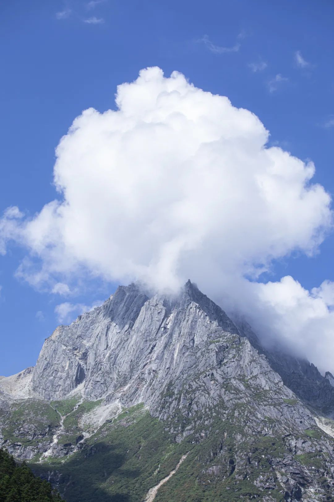 毕棚沟门票2021_毕棚沟旅行攻略_2024毕棚沟旅游攻略