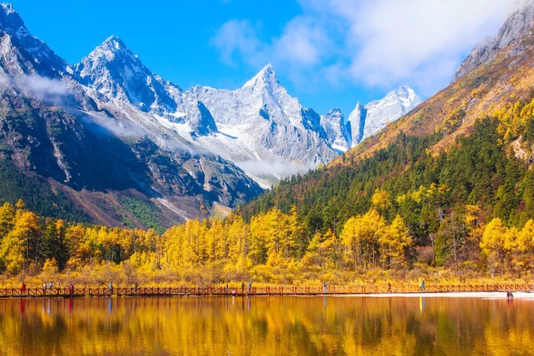 毕棚沟门票2021_2024毕棚沟旅游攻略_毕棚沟旅行攻略