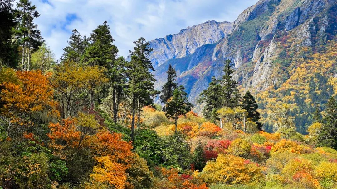 2024毕棚沟旅游攻略_毕棚沟门票2021_毕棚沟旅行攻略