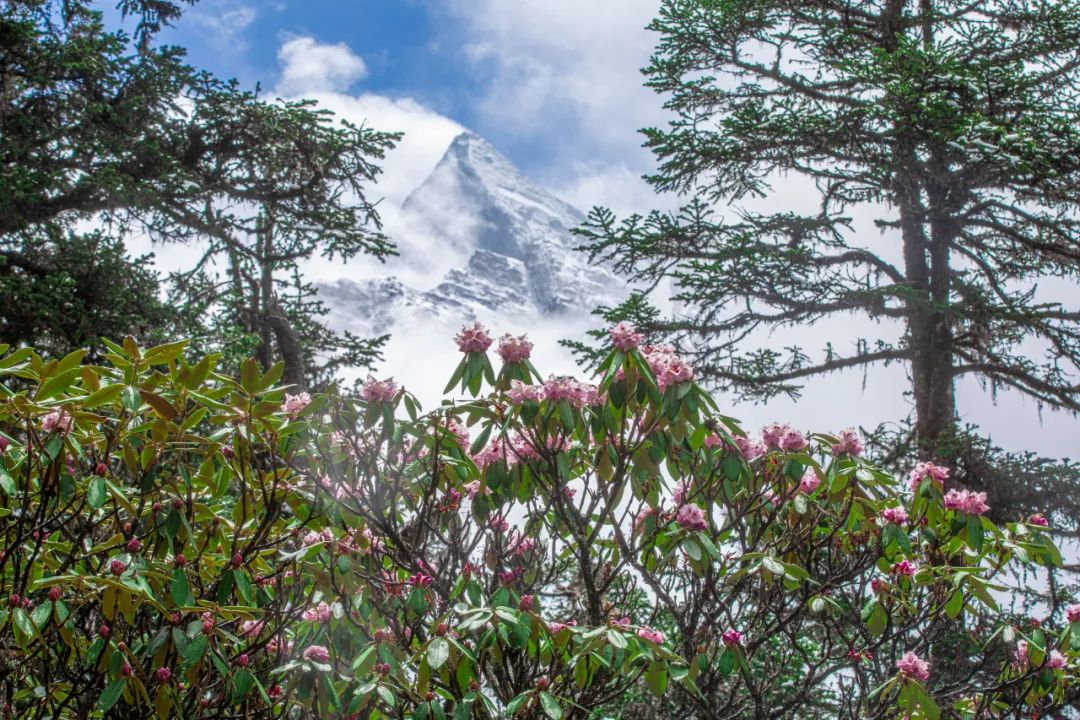 毕棚沟门票2021_毕棚沟旅行攻略_2024毕棚沟旅游攻略