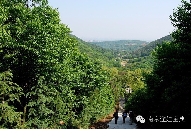 南京将军山景点_南京将军山门票价格_南京将军山旅游攻略