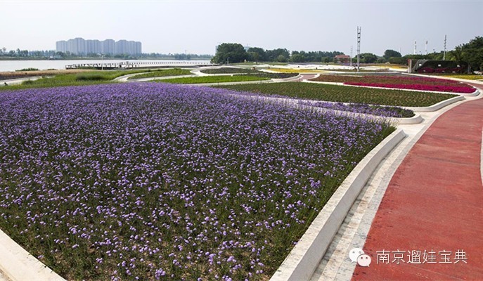 南京将军山景点_南京将军山门票价格_南京将军山旅游攻略