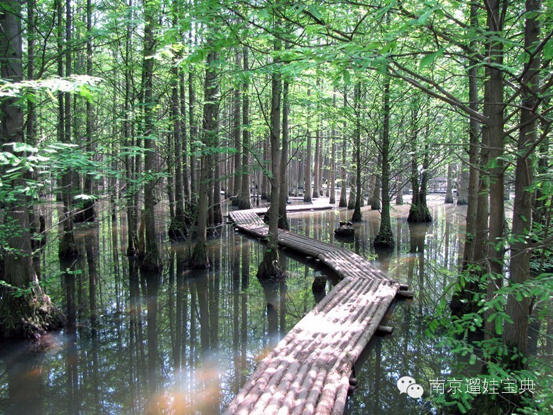 南京将军山景点_南京将军山旅游攻略_南京将军山门票价格