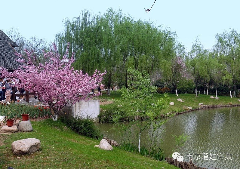 南京将军山景点_南京将军山旅游攻略_南京将军山门票价格