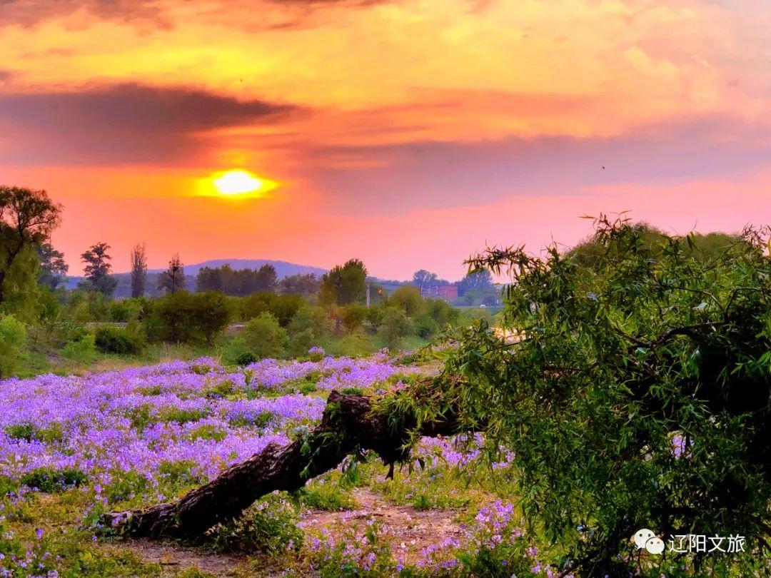 攻略辽阳旅游路线_辽阳旅游攻略_辽阳旅游攻略自助游