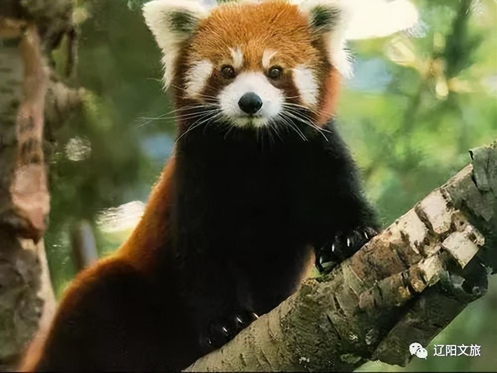 辽阳旅游攻略_辽阳旅游攻略自助游_攻略辽阳旅游路线