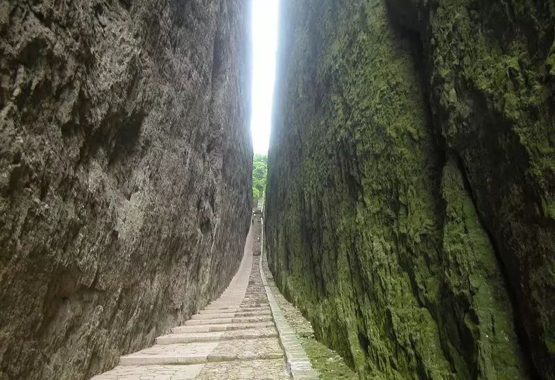 厦门武夷山旅游攻略_厦门旅游武夷山必去吗_厦门武夷山旅游景点