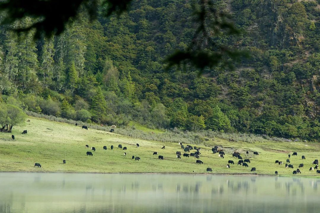 包包印花时尚单肩女包-印花系列肩背包(图1) 包包印花时尚单肩女包_印花女双肩背包_印花系列肩背包