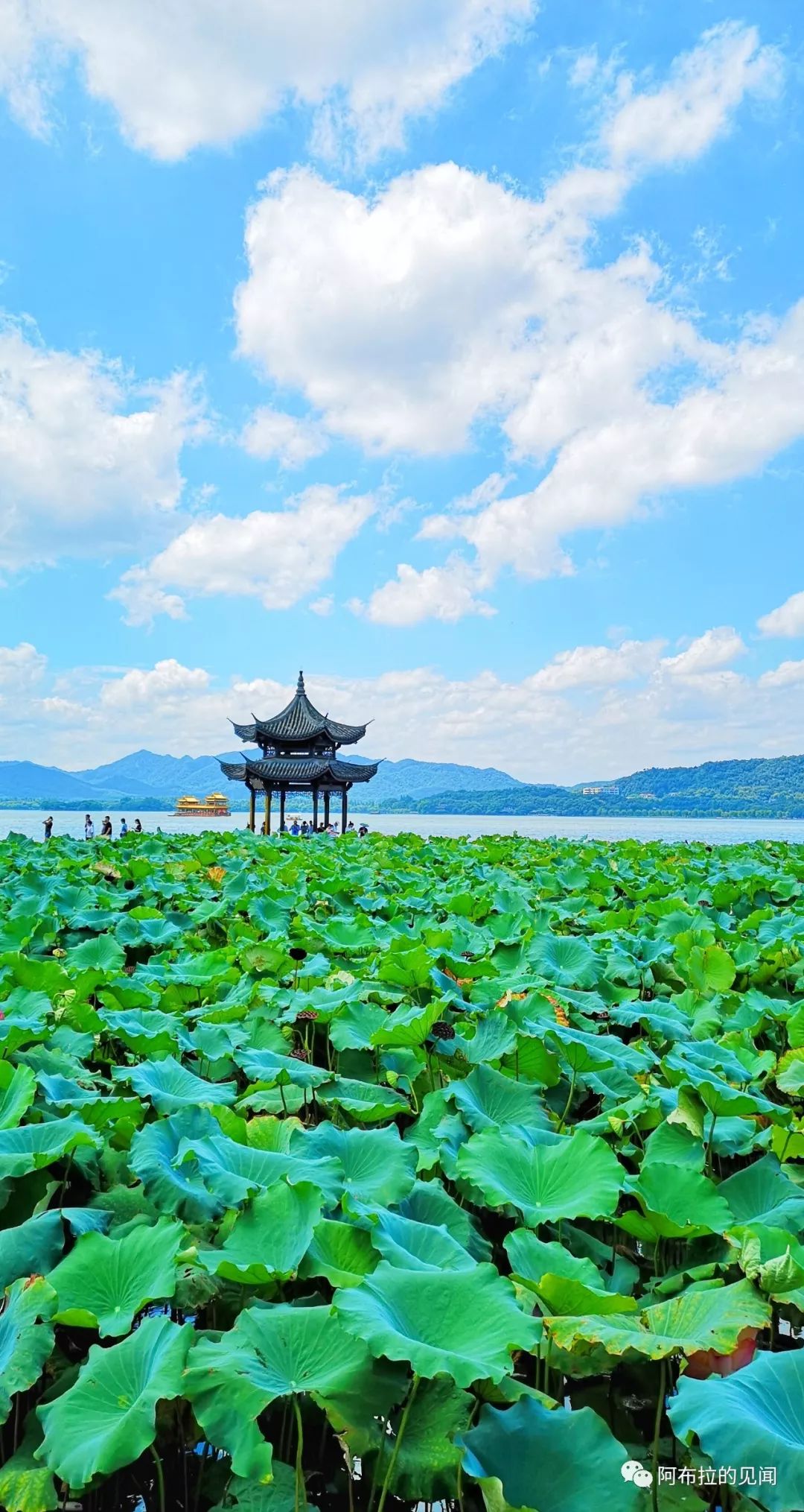 乌镇攻略杭州旅游团_杭州和乌镇旅游攻略_乌镇攻略杭州旅游景点