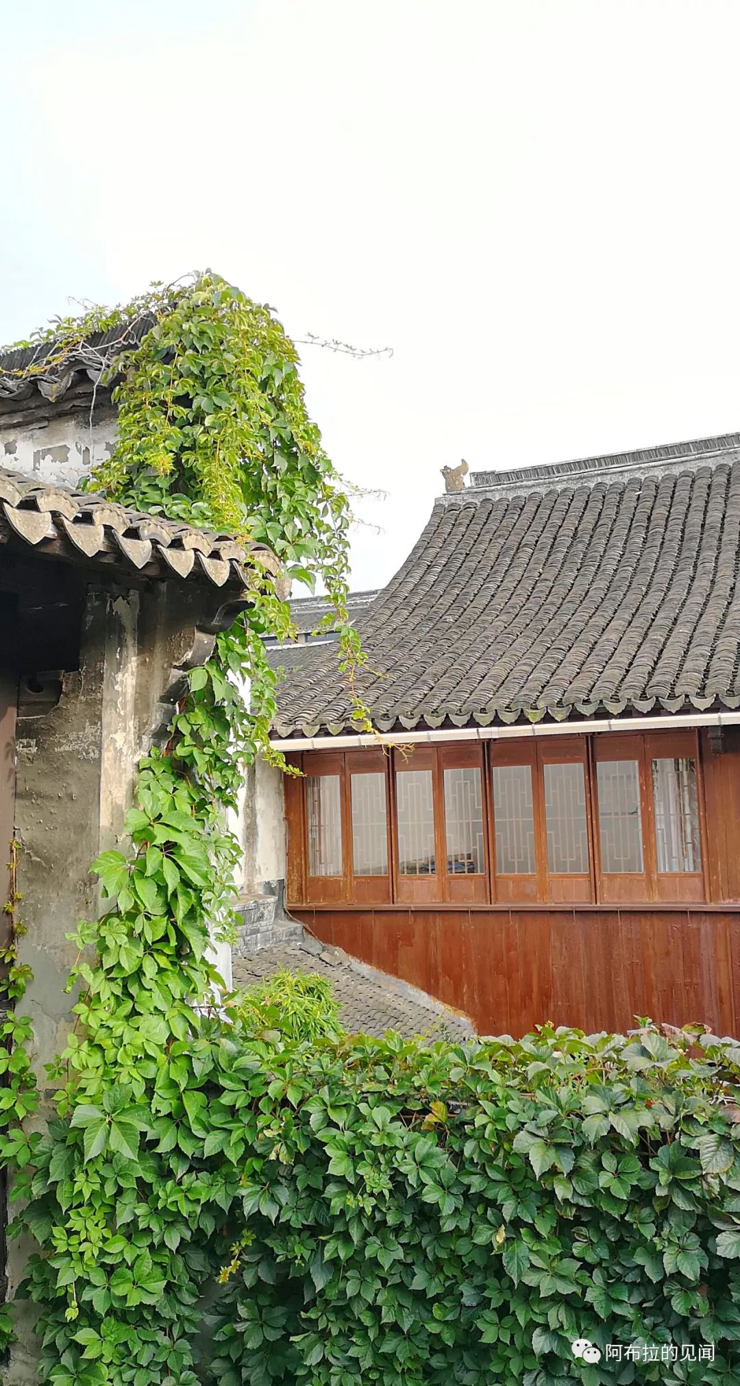 乌镇攻略杭州旅游景点_杭州和乌镇旅游攻略_乌镇攻略杭州旅游团