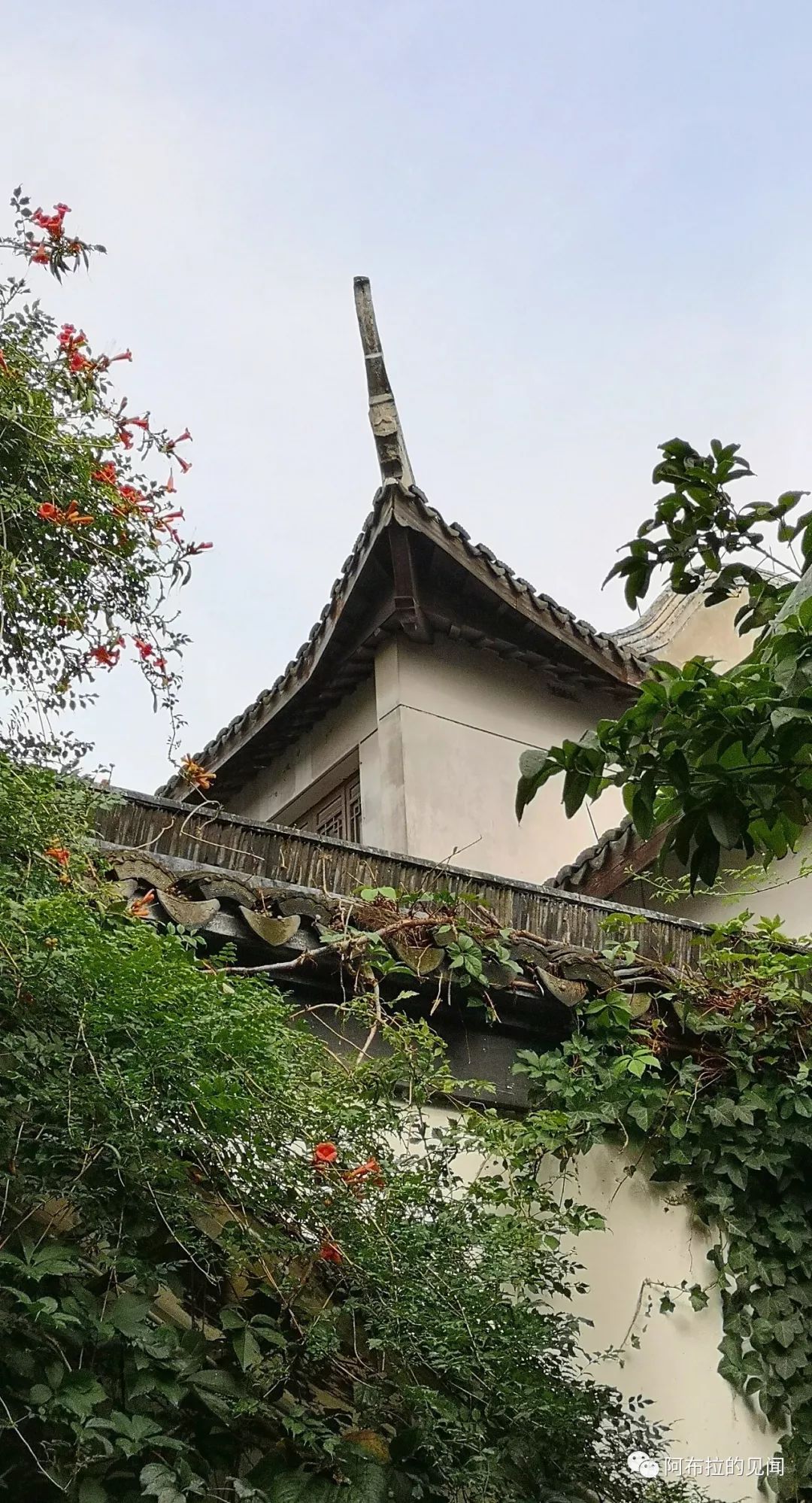 乌镇攻略杭州旅游景点_乌镇攻略杭州旅游团_杭州和乌镇旅游攻略