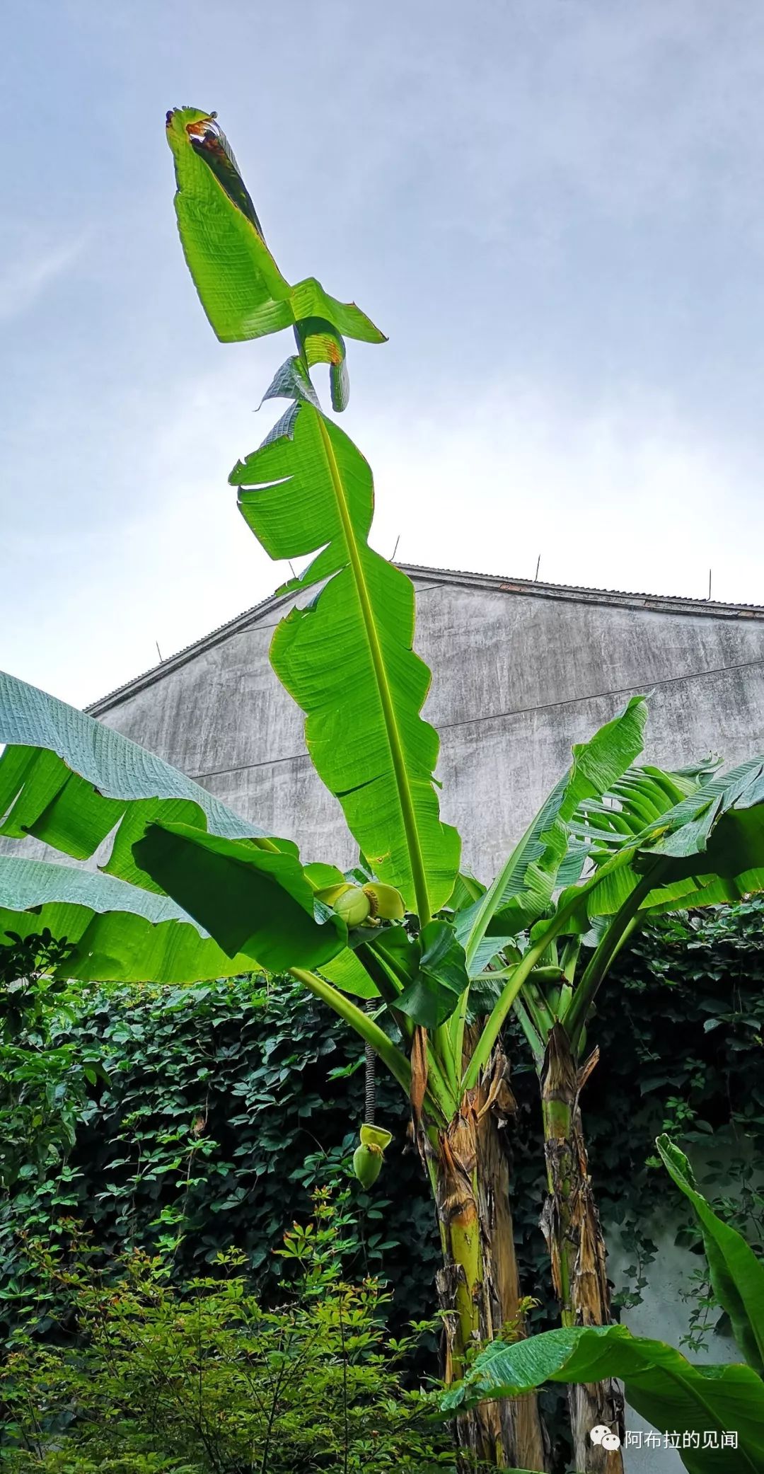 杭州和乌镇旅游攻略_乌镇攻略杭州旅游团_乌镇攻略杭州旅游景点