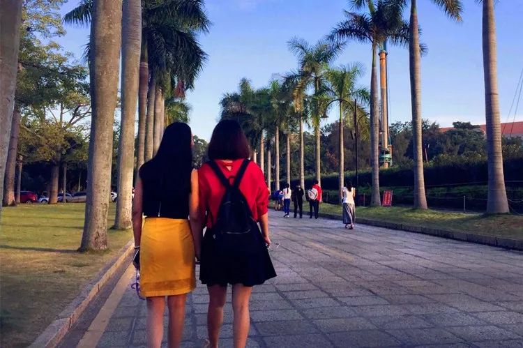 厦门武夷山旅游攻略-厦门武夷山旅游攻略自助游(图7) 厦门武夷山旅游攻略_厦门武夷山旅游攻略自助游_厦门武夷山旅游景点