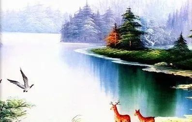 宁波到枸杞岛旅游攻略-宁波怎么枸杞岛