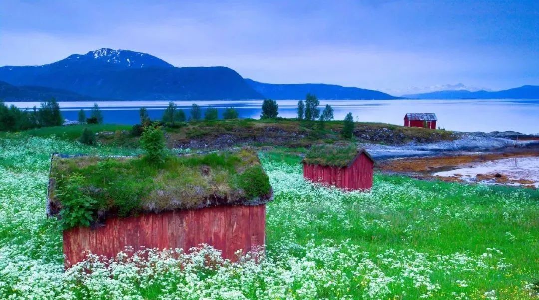 宁波到枸杞岛旅游攻略_宁波枸杞岛图片大全_宁波怎么枸杞岛