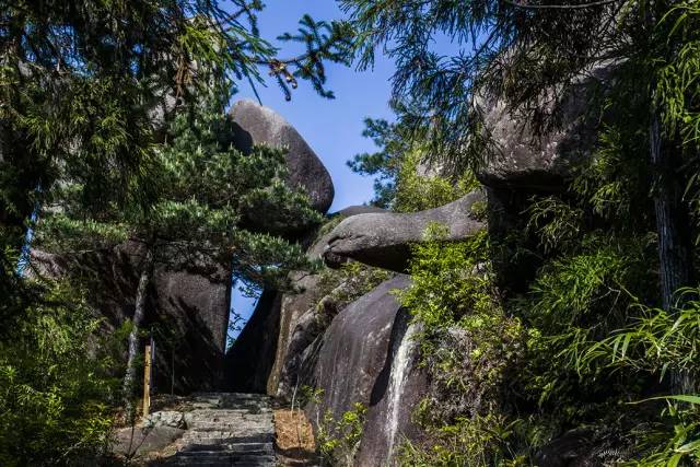 宁波到枸杞岛旅游攻略_宁波枸杞岛图片大全_宁波怎么枸杞岛