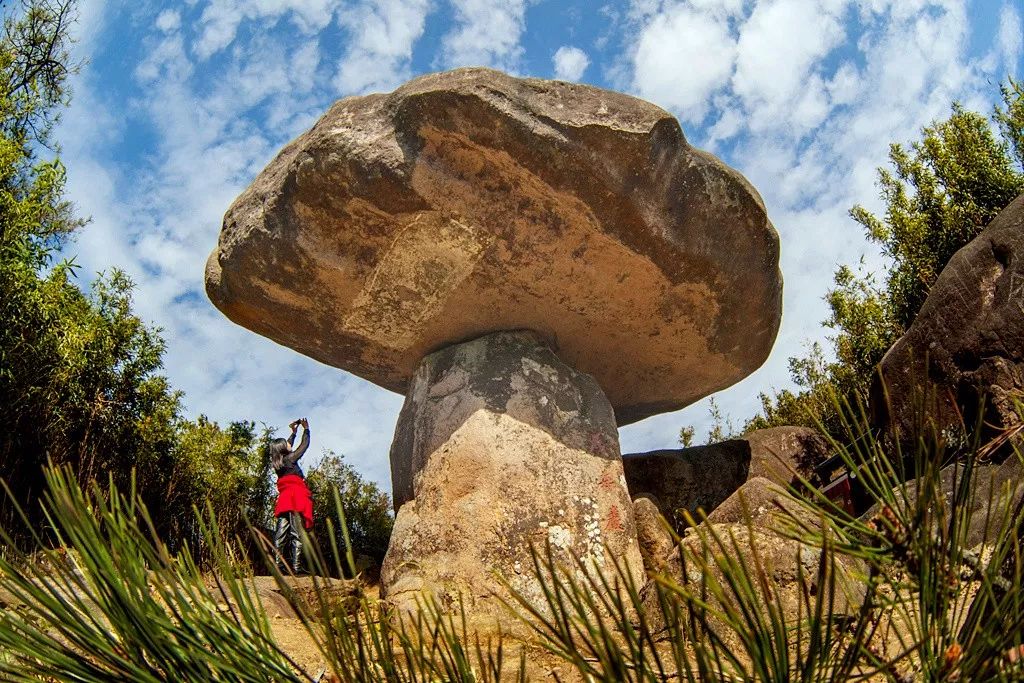 宁波枸杞岛图片大全_宁波怎么枸杞岛_宁波到枸杞岛旅游攻略