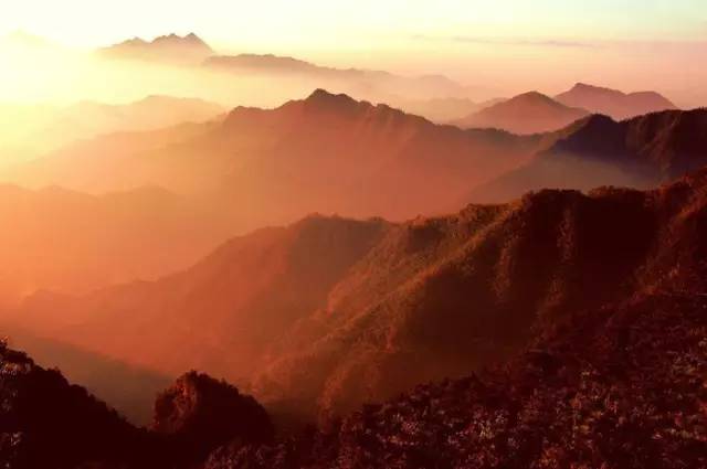 宁波怎么枸杞岛_宁波枸杞岛图片大全_宁波到枸杞岛旅游攻略