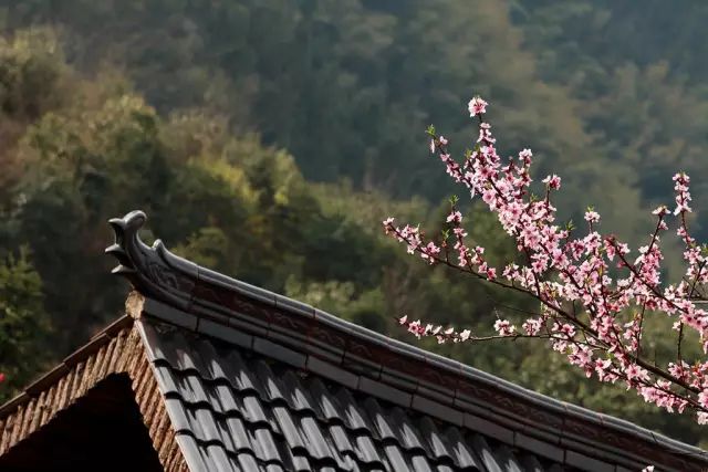 宁波枸杞岛图片大全_宁波到枸杞岛旅游攻略_宁波怎么枸杞岛