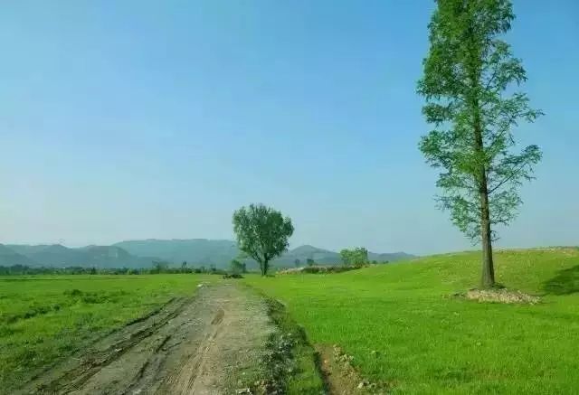 宁波到枸杞岛旅游攻略_宁波怎么枸杞岛_宁波枸杞岛图片大全