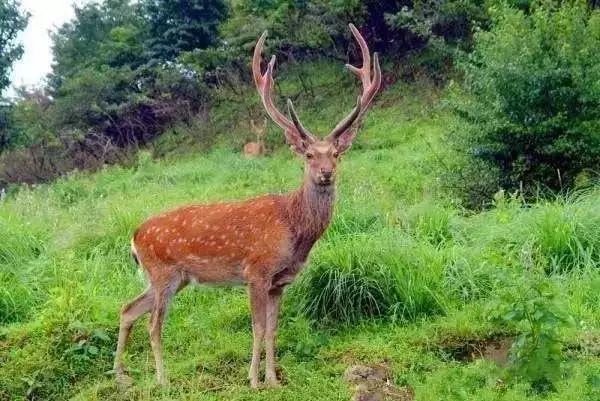 宁波怎么枸杞岛_宁波枸杞岛图片大全_宁波到枸杞岛旅游攻略