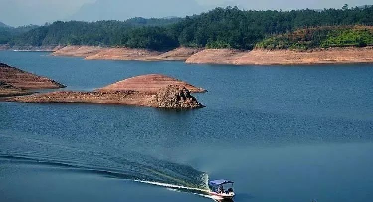 宁波怎么枸杞岛_宁波到枸杞岛旅游攻略_宁波枸杞岛图片大全