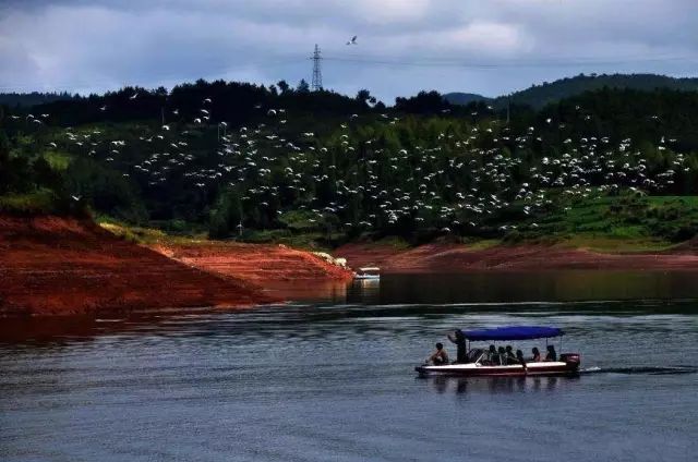 宁波到枸杞岛旅游攻略_宁波枸杞岛图片大全_宁波怎么枸杞岛