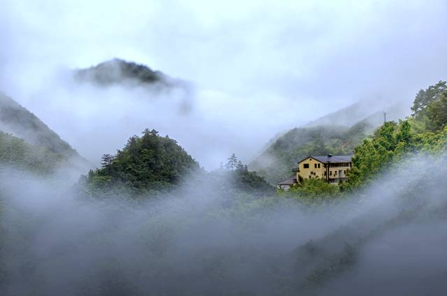 宁波怎么枸杞岛_宁波到枸杞岛旅游攻略_宁波枸杞岛图片大全