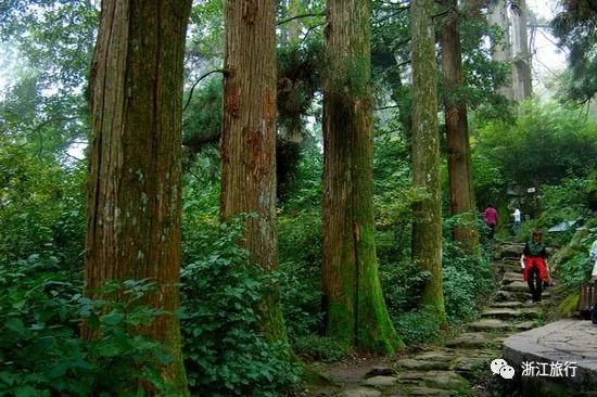 宁波枸杞岛图片大全_宁波怎么枸杞岛_宁波到枸杞岛旅游攻略