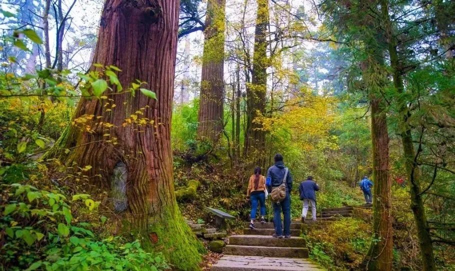 宁波枸杞岛图片大全_宁波到枸杞岛旅游攻略_宁波怎么枸杞岛