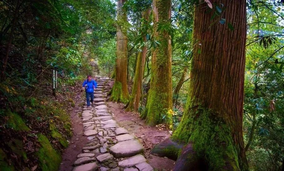 宁波枸杞岛图片大全_宁波怎么枸杞岛_宁波到枸杞岛旅游攻略