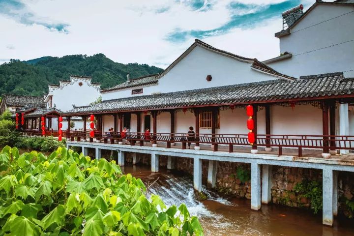 宁波到枸杞岛旅游攻略_宁波枸杞岛图片大全_宁波怎么枸杞岛