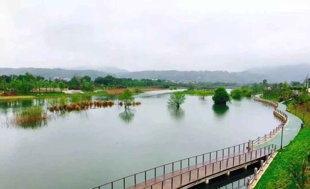 宁波怎么枸杞岛_宁波枸杞岛图片大全_宁波到枸杞岛旅游攻略