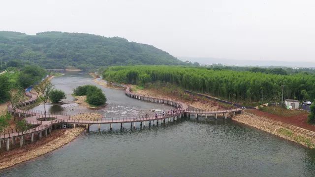 宁波怎么枸杞岛_宁波到枸杞岛旅游攻略_宁波枸杞岛图片大全
