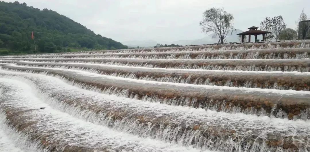 宁波枸杞岛图片大全_宁波到枸杞岛旅游攻略_宁波怎么枸杞岛