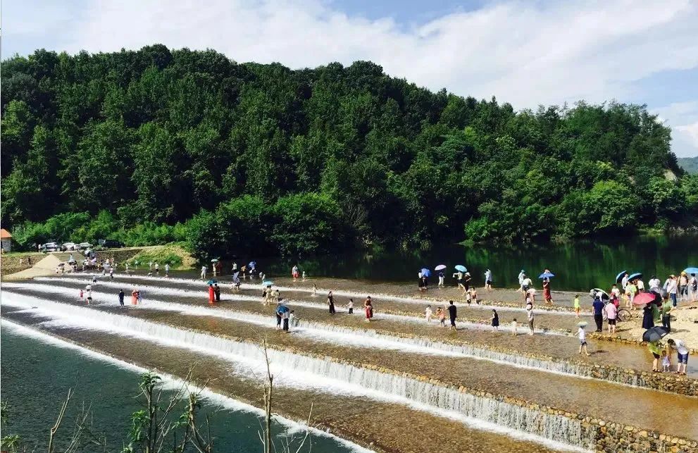 宁波到枸杞岛旅游攻略_宁波枸杞岛图片大全_宁波怎么枸杞岛