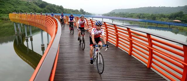 宁波怎么枸杞岛_宁波到枸杞岛旅游攻略_宁波枸杞岛图片大全