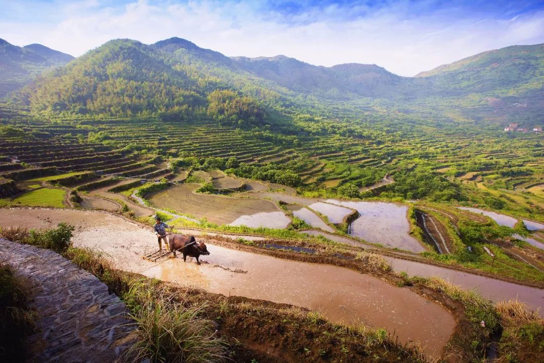 宁波到枸杞岛旅游攻略_宁波枸杞岛图片大全_宁波怎么枸杞岛