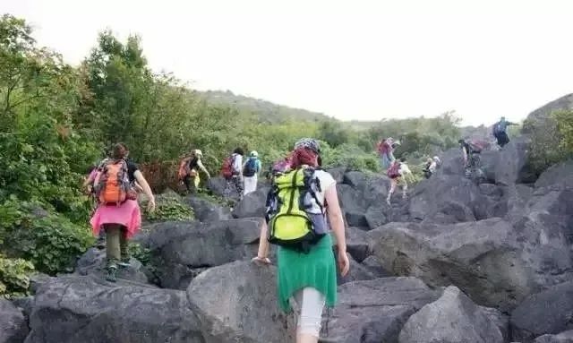 宁波枸杞岛图片大全_宁波到枸杞岛旅游攻略_宁波怎么枸杞岛