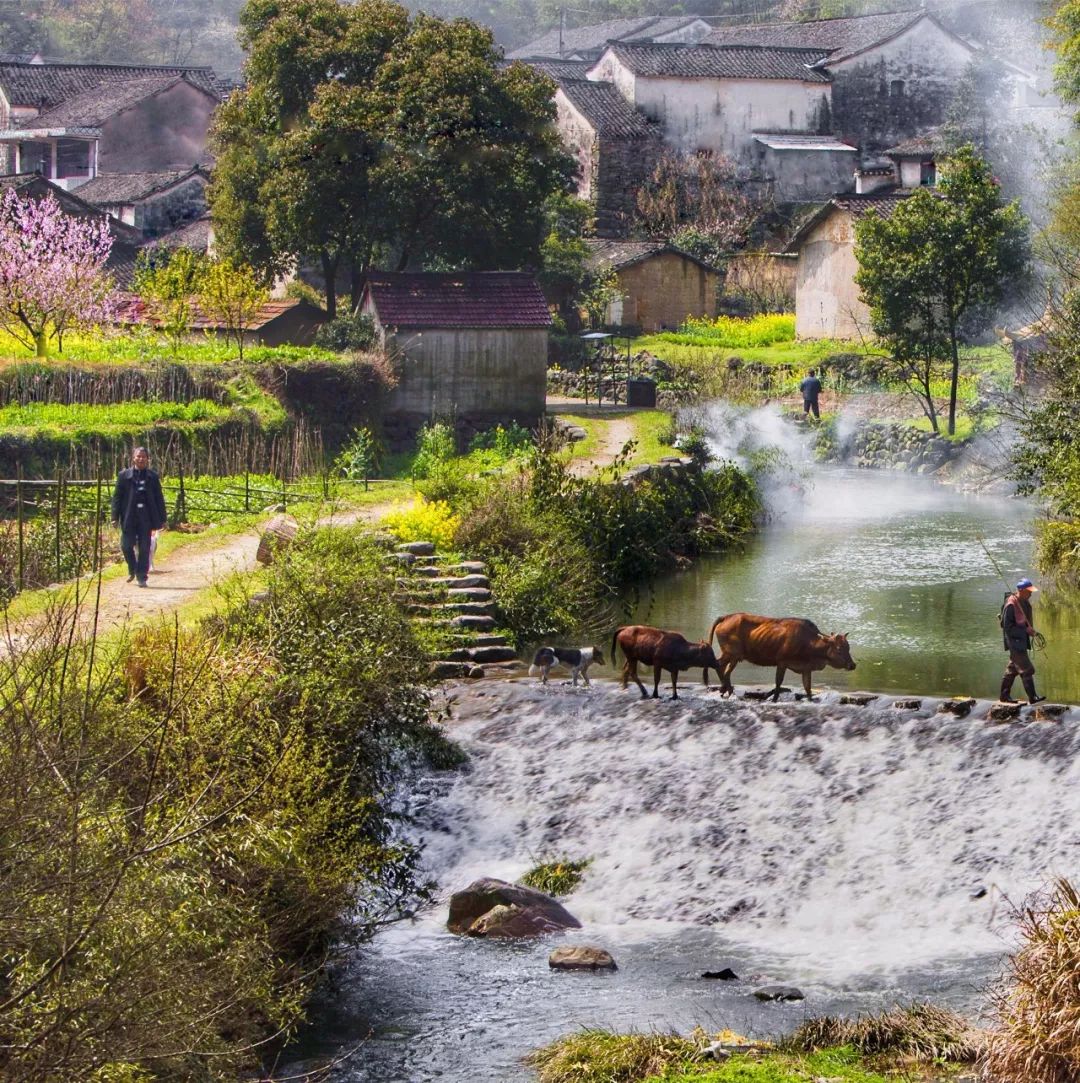 宁波到枸杞岛旅游攻略_宁波怎么枸杞岛_宁波枸杞岛图片大全