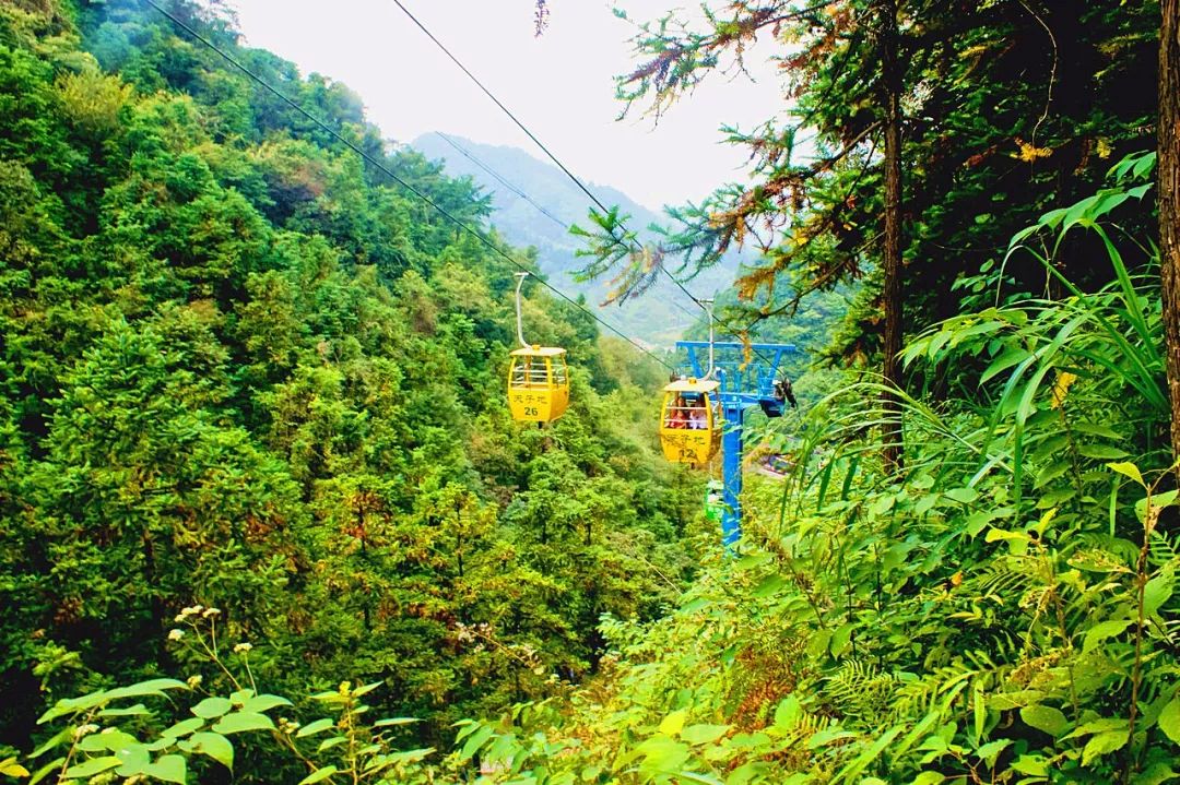 宁波到枸杞岛旅游攻略_宁波怎么枸杞岛_宁波枸杞岛图片大全
