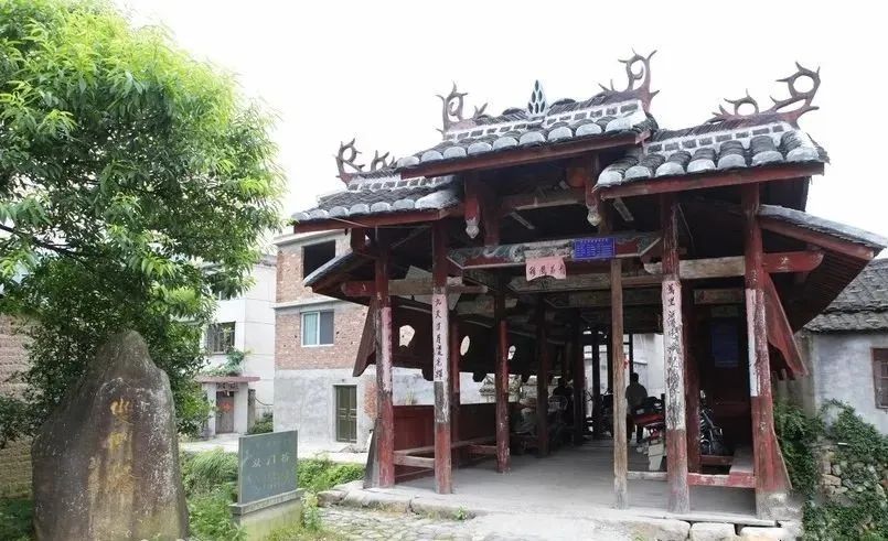 宁波枸杞岛图片大全_宁波到枸杞岛旅游攻略_宁波怎么枸杞岛