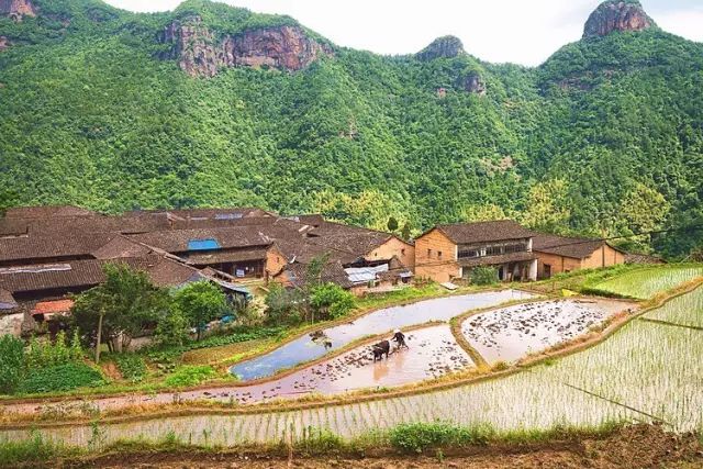 宁波枸杞岛图片大全_宁波到枸杞岛旅游攻略_宁波怎么枸杞岛